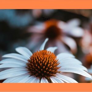 Meet your Posher, Vickie